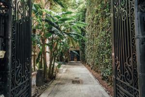 墨西哥城Maison du comte的穿过铁门进入花园