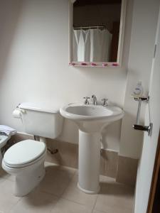 埃尔卡拉法特Cabañas Nevis, excelente ubicación的白色的浴室设有卫生间和水槽。