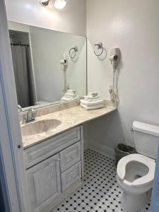 霍姆斯泰德The Hotel Redland的一间带水槽、卫生间和镜子的浴室