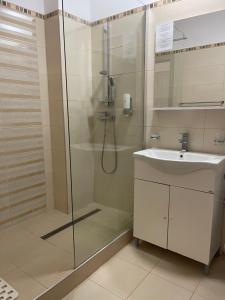 阿尔巴尤利亚Hotel Prestige的带淋浴和盥洗盆的浴室