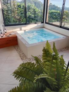 马尼萨莱斯Atardeceres del Cafe的带大窗户的客房内的热水浴池