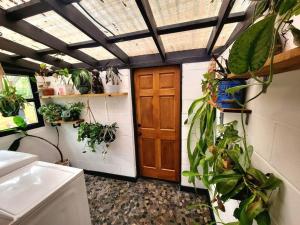 坦帕Cozy AF Jungle-House Hideaway的一间有门和一束植物的房间