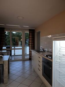 美因河畔法兰克福GoetheApartment的厨房配有水槽和炉灶 顶部烤箱