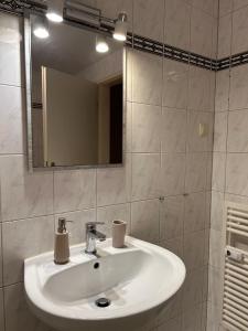 美因河畔法兰克福GoetheApartment的浴室设有白色水槽和镜子