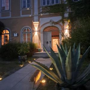 巴特布莱贝格Apartments in Villa Crusca的夜幕降临在房子前的植物