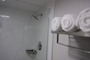 尼德兰机场旅馆的浴室内带毛巾的玻璃门