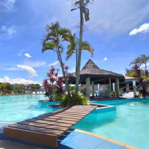 里奥迪孔塔斯Granville Eco Resort的一座游泳池,其内拥有棕榈树度假村