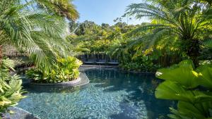 福尔图纳塔巴康温泉Spa度假村的棕榈树热带花园中的游泳池