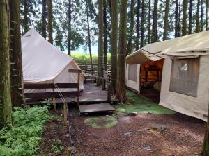 ShimodaMinamiaso STAYHAPPY - Vacation STAY 28451v的森林中的帐篷和木人行道