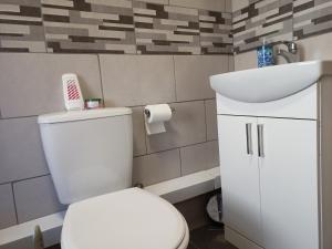 纽波特Brand New Cosy Apartment 3 Sleep, Garden access Free Wi-Fi & Parking的浴室配有白色卫生间和盥洗盆。