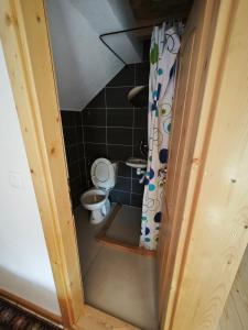 莫伊科瓦茨Mini Garden的一间带卫生间和浴帘的小浴室