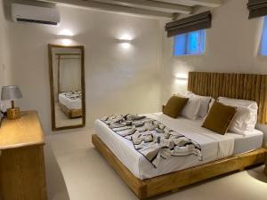 阿吉亚艾里尼帕罗Nerea Sunset View Apartment的一间卧室配有一张大床和镜子