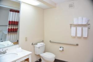 查塔努加查塔努加红屋顶酒店及套房 - 市中心的一间带卫生间、水槽和镜子的浴室