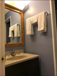 布兰登The little chalet motel的浴室配有盥洗盆、镜子和毛巾