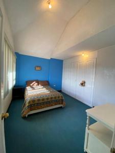 里奥班巴Mi Casa en Rio的蓝色客房中一间带床的卧室