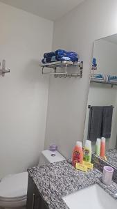 迈阿密5350 Park inn Suite的一间带卫生间、水槽和镜子的浴室