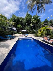 圣吉吉柯本罗汉妮小屋酒店的一个种有棕榈树的大型蓝色游泳池