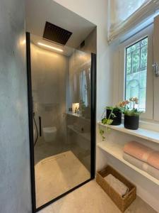 科莫Civico29 appartamento bilocale的带淋浴的浴室和玻璃门