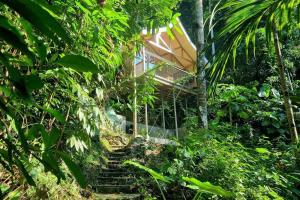 锡基霍尔Remote Home near Secret Lagoon with Motorcycle的通往丛林中房屋的楼梯