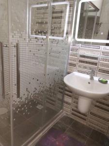 安曼Adam's Apartment的一间带水槽和淋浴的浴室