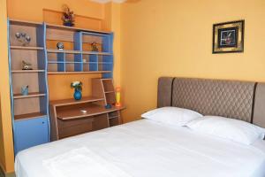 约阿尼纳Villa Spiros的一间卧室配有一张床、一张书桌和一个架子
