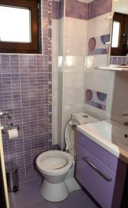 约阿尼纳Villa Spiros的一间带卫生间和水槽的小浴室