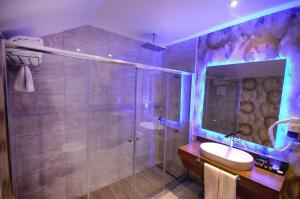 盖布泽达勒贾Spa及会议中心精英酒店 的带淋浴、盥洗盆和卫生间的浴室