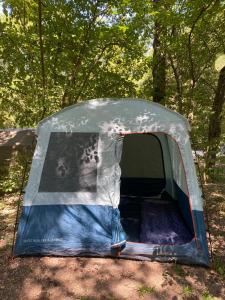 阿姆斯特丹Stoke Travel's Amsterdam Camping的树林里搭起的帐篷