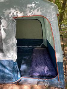 阿姆斯特丹Stoke Travel's Amsterdam Camping的帐篷,门开,内有床垫