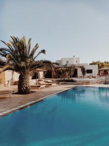 索维拉Maison Belhazar的一个带棕榈树和椅子的大型游泳池