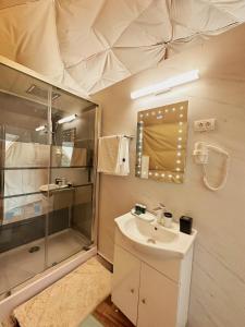 艾福雷诺德精品城堡公寓式酒店的带淋浴、盥洗盆和镜子的浴室