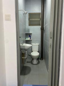 关丹Hs Homestay Cenderawasih Kuantan Town (5 Bed)的一间带卫生间和水槽的浴室