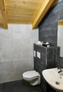 波胡达聂芝温泉城Golf Resort Lázně Bohdaneč的一间带卫生间和水槽的浴室