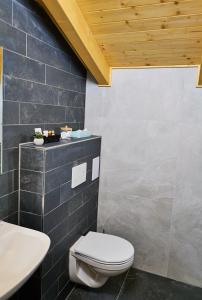 波胡达聂芝温泉城Golf Resort Lázně Bohdaneč的浴室配有白色卫生间和盥洗盆。