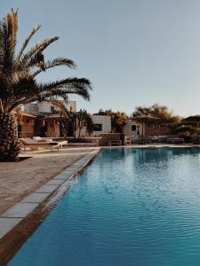 索维拉Maison Belhazar的一座游泳池,旁边是一座棕榈树