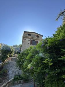 维耶特里Il Melograno in Costa d'Amalfi - romantic experience的山顶上一座有灌木丛的建筑