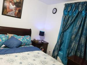 布朗克斯Comfortable holiday homestay的一间卧室配有床和蓝色窗帘