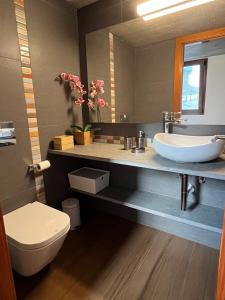 特尔德Casa Canaria的一间带水槽、卫生间和镜子的浴室