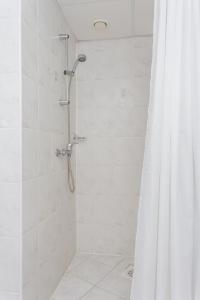 塔林迪曾格尔酒店的带淋浴和浴帘的浴室