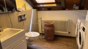 巴登-巴登花园公寓的一间带卫生间和散热器的小浴室