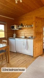 ReynistaðurArmuli的小木屋内的厨房,配有桌子和门