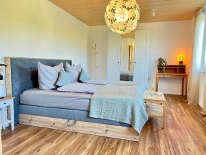 OberteuringenCharmantes Landhaus的一间卧室配有一张带蓝毯和吊灯的床。