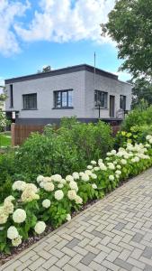 萨拉茨格里瓦Jūrmalas māja的一座房子前的白色花卉花园