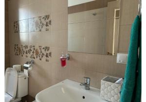 Lunca CetăţuiiLuxury ap 2 rooms - AB House的一间带水槽、卫生间和镜子的浴室