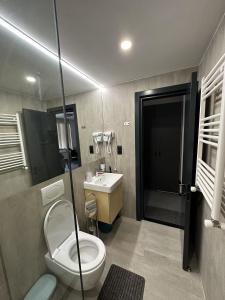 巴库里阿尼Apartment Kokhta-Mitarbi B3 408的一间带卫生间和水槽的浴室