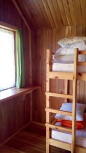 帕普Pūķarags - Kempings的小木屋设有两张双层床,配有窗户