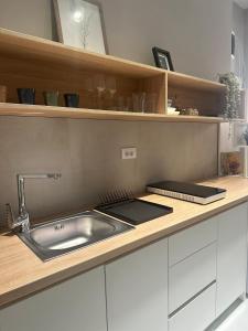 诺维萨德EVA Apartment的厨房配有水槽和台面