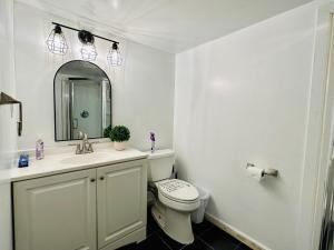 樱桃山Campu’s Basement Studio w/ private entrance的一间带卫生间、水槽和镜子的浴室