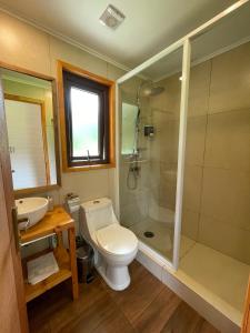Puerto DunnHuella Patagonia Lodge的浴室配有卫生间、淋浴和盥洗盆。