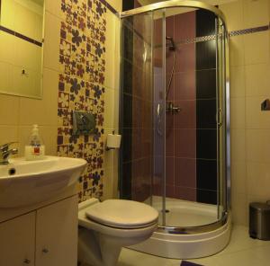新里斯拉金色别墅的带淋浴、卫生间和盥洗盆的浴室
